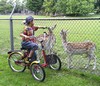 T-Bike mini