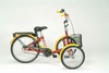 T-Bike Junior