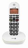 Doro PhoneEasy 100w