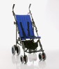 Eco-Buggy
