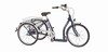 Eksempel fra produktgruppen Tre- og firehjulede foddrevne cykler Eksempel fra produktgruppen Tre- og firehjulede foddrevne cykler