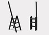 The Step Ladder