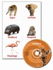 L�rekort CD