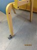 Castors Castors