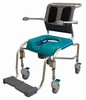 Basic - bathing and toileting chair