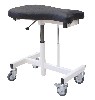 Therapy chair, fish