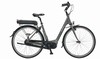 E-Fly Citybike Premium 36V e-bike