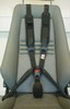 Unisafety 5-point-seatbelt