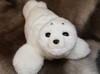 Baby Harp Seal PARO - example from the product group assistive products for cognitive therapy Baby Harp Seal PARO - example from the product group assistive products for cognitive therapy