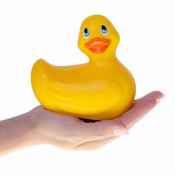 Vibrator, duck