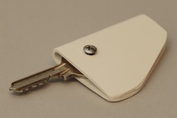 Key holder, plastic