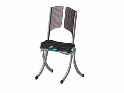 Raizer - Lifting Chair