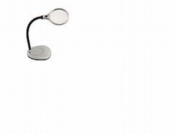 Standing magnifier with light