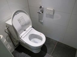 Floorstanding shower toilet