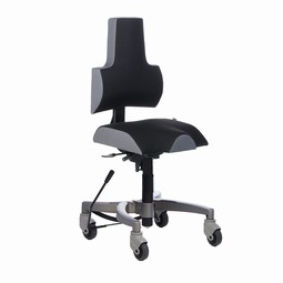 Therapia Rehab Chairs