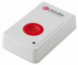 Mounted emergency button  - example from the product group fixed manual emergency calls