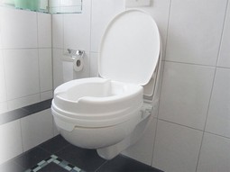 Toilet seat raiser