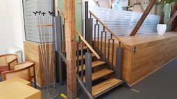FlexStep - 2-i-1 Trappelift