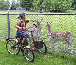 T-Bike mini