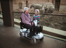 Invacare Leo