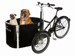 Nihola Dog