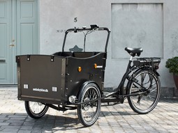 El ladcykel til børn, 3-hjulet El ladcykel til børn, 3-hjulet
