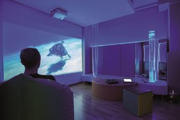 SHX Sanserum  - eksempel fra produktgruppen sanserum