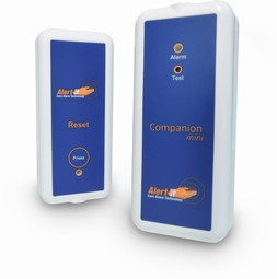 The Companion mini Pro The Companion mini Pro