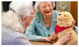 Interaktiv Hund - Socialterapeutisk Robothund