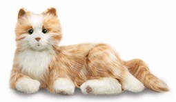 Interaktiv Kat - Socialterapeutisk Robotkat Interaktiv Kat - Socialterapeutisk Robotkat