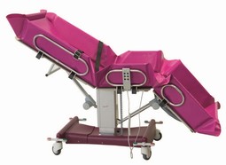 IRIS - Indstilleligt bruseleje med ergonomi og sikkerhed IRIS - Indstilleligt bruseleje med ergonomi og sikkerhed