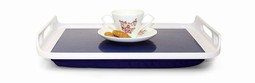 Non-slip bakke med pude - eksempel fra produktgruppen bakker Non-slip bakke med pude - eksempel fra produktgruppen bakker
