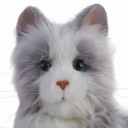 Katten Mille - eksempel fra produktgruppen hjælpemidler til træning af social adfærd Katten Mille - eksempel fra produktgruppen hjælpemidler til træning af social adfærd