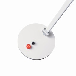 Tricolor - klik for at se billedet i fuld størrelse - åbner i nyt vindue Tricolor