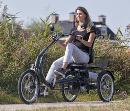 Easy Rider 3 - 8 gear, m/u EL-motor, Forstærket model og Lang model - klik for at se billedet i fuld størrelse - åbner i nyt vindue Easy Rider 3 - 8 gear, m/u EL-motor, Forstærket model og Lang model