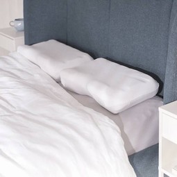 Putnam ergonomisk hovedpude