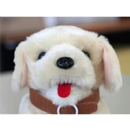 Hunden Lulu til 0/1 kontakt - klik for at se billedet i fuld størrelse - åbner i nyt vindue Hunden Lulu til 0/1 kontakt