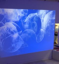 Eyeview - klik for at se billedet i fuld størrelse - åbner i nyt vindue Eyeview