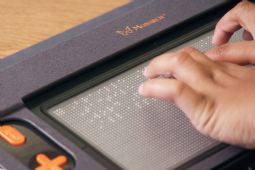 Monarch - klik for at se billedet i fuld størrelse - åbner i nyt vindue Monarch