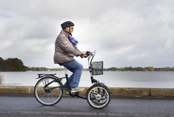 Viktoria, 7 gear, med/uden fodbremse eller fast nav