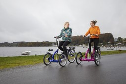 Viktoria, 7 gear, med/uden fodbremse eller fast nav