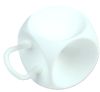 ProFem Cube Pessary