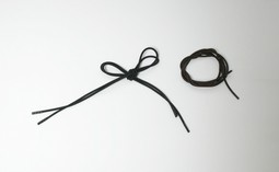 Elastic shoelace