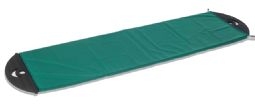Immedia 2Move transfer board