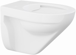 Toilet, wall hung