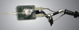Quad Joy 4  - example from the product group joystick mice