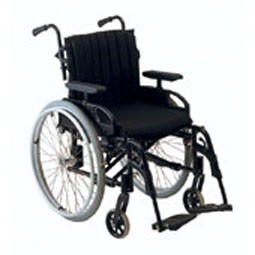 Rea Spirea 2