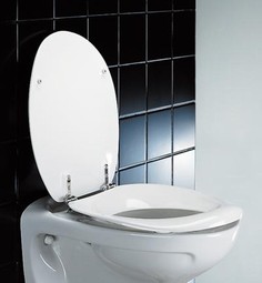 Toilet seat, Colani Toilet seat, Colani
