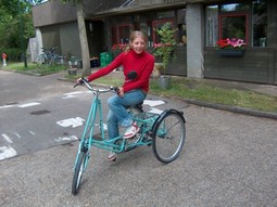 Mr. Pedersen Solo bike