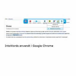 IntoWords